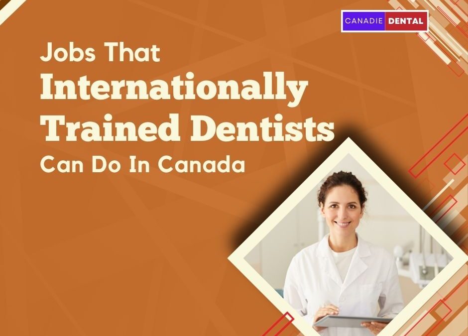 Jobs that Internationally Trained Dentists can do in Canada