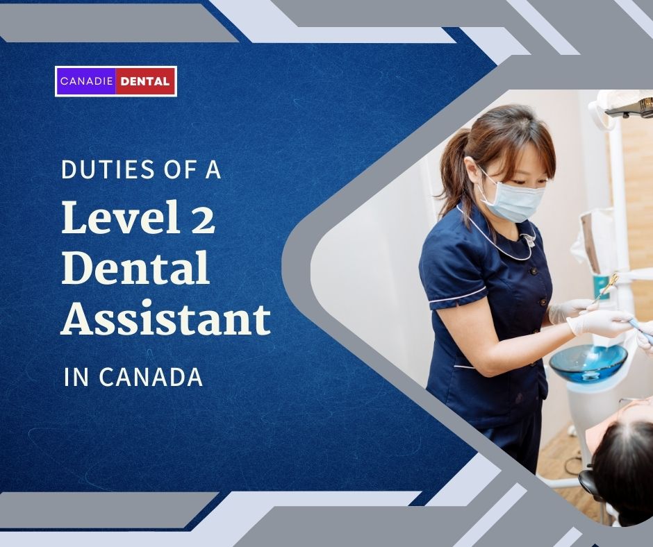 level 2 dental assistant