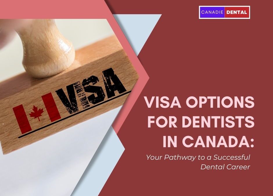 Visa Options for Dentists in Canada: Your Pathway to a Successful Dental Career