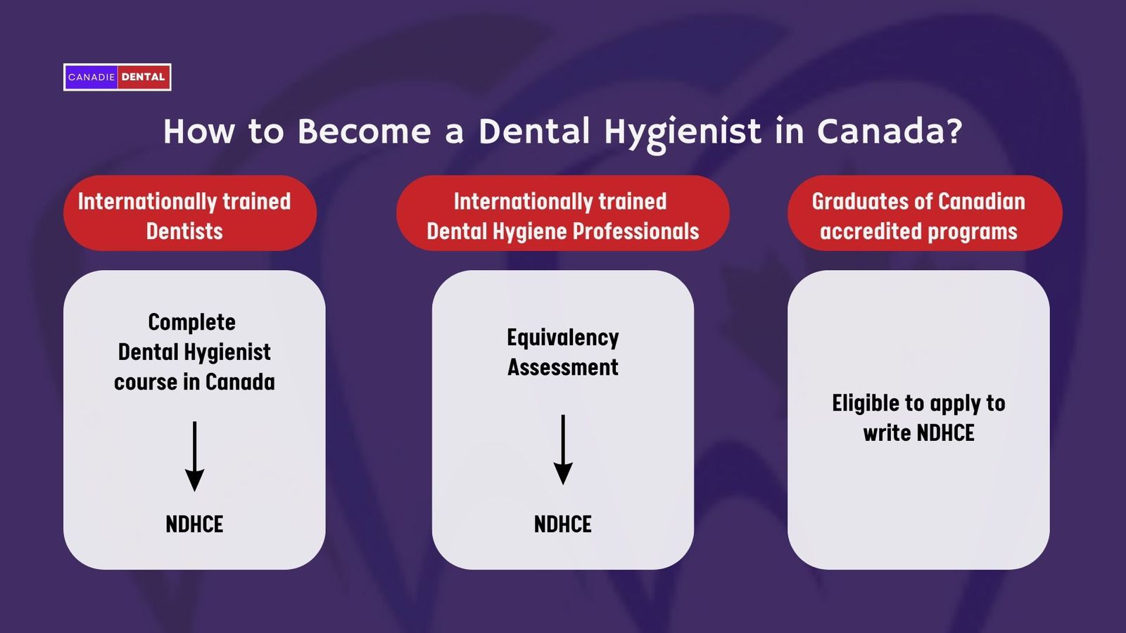 Dental Hygienist in Canada