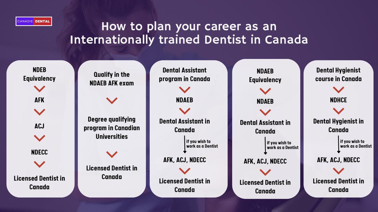 How to plan your career as an Internationally trained Dentist in Canada