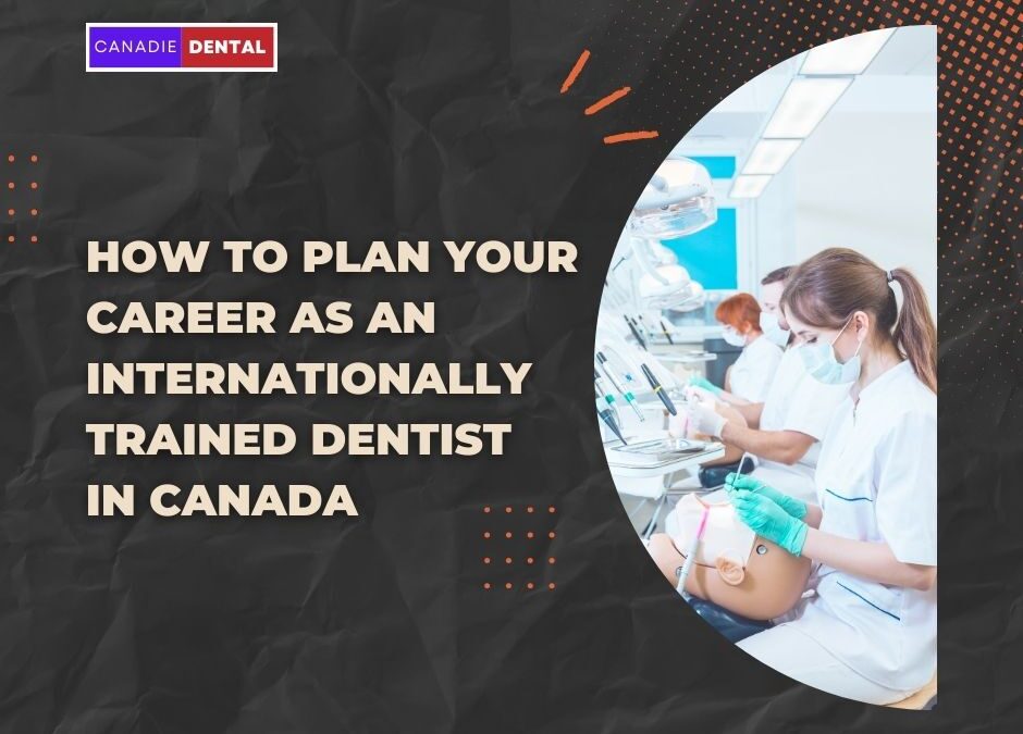 How to plan your career as an Internationally trained Dentist in Canada